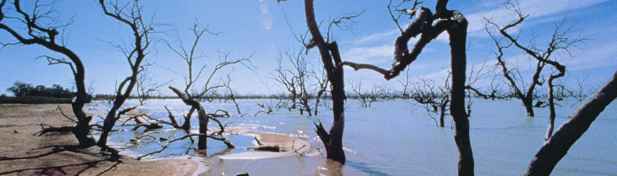 Menindee Lakes